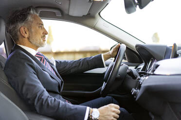 Mature businessman wearing suit and driving car - JJF00784