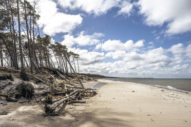 Germany, Mecklenburg-Vorpommern, Ahrenshoop, Clouds over Weststrand beach - KEBF02703