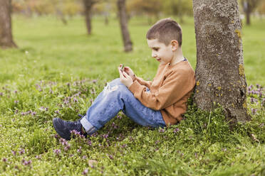 Boy using smart phone sitting by tree at park - ONAF00508