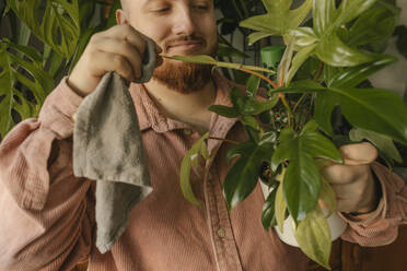 Smiling man cleaning leaves of plants at home - VIVF00749