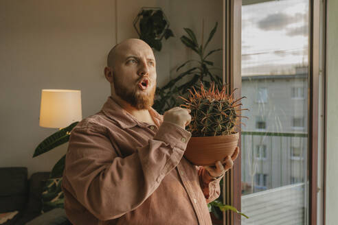 Man touching prickly cactus at home - VIVF00751