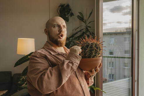 Mann berührt stacheligen Kaktus zu Hause - VIVF00751