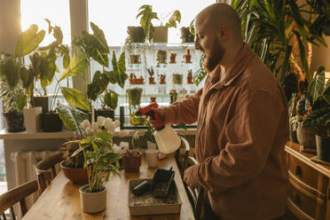 Bearded man spraying water on plants at home - VIVF00755