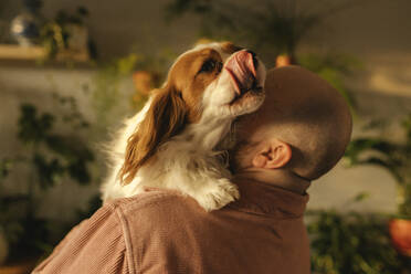 Mann mit Glatze trägt Hund auf der Schulter zu Hause - VIVF00761