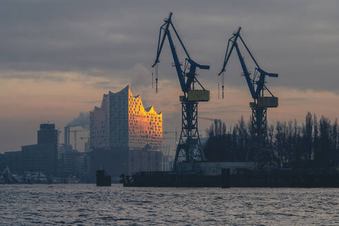 Deutschland, Hamburg, Kräne des Hamburger Hafens in der Abenddämmerung mit Elbphilharmonie im Hintergrund - KEBF02711