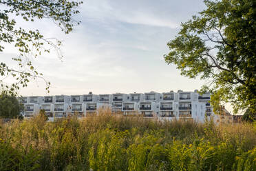 Deutschland, Bayern, Augsburg, Hohes Gras vor neuen modernen Wohnhäusern - MAMF02845