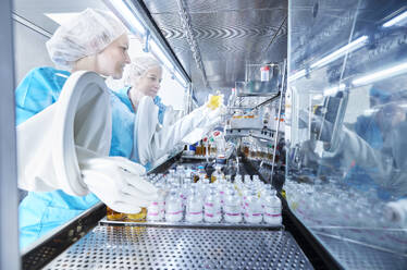 Labortechniker halten Chemikalienflaschen in der mikrobiologischen Sicherheitswerkbank - CVF02382