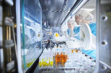 Chemical workers passing chemical bottles inside microbiological safety cabinet - CVF02391