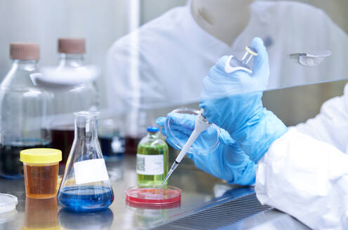 Wissenschaftler, der eine Chemikalie auf eine Petrischale im mikrobiologischen Labor pipettiert - CVF02397