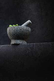 Studio shot of basil in stone mortar - KSWF02363