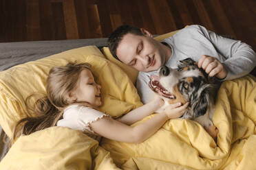 Vater und Tochter streicheln einen Hund, der zu Hause auf dem Bett liegt - VIVF00793