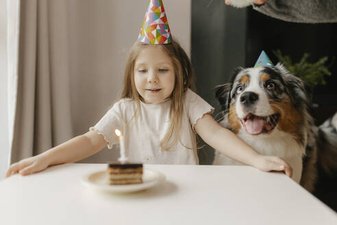 Girl with Australian Shepherd looking at birthday cake on table - VIVF00861