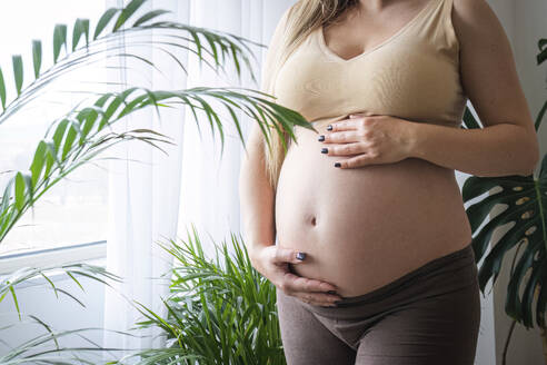 Schwangere Frau mit Händen auf dem Bauch bei Pflanzen zu Hause stehend - AAZF00434