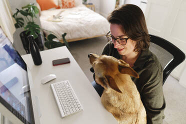 Freiberufler mit Hund sitzt am Schreibtisch im Home Office - ASGF03591