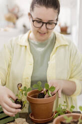 Woman planting strawberry seedlings in terracotta pot at balcony - ONAF00525