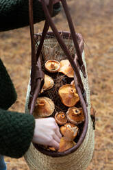 Unrecognizable person with wicker basket full of saffron milk cap mushrooms walking in forest - ADSF43877