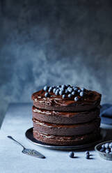 Delicious chocolate cake with chocolate glaze and blueberries served on plate on gray background - ADSF43891