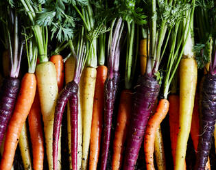 Top view of bunch of fresh organic rainbow carrots on black background representing concept of healthy food - ADSF43893