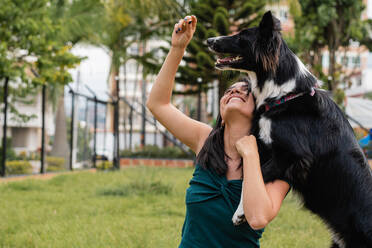 Fröhliche junge ethnische Besitzerin mit langen dunklen Haaren in Freizeitkleidung lächelt fröhlich, während sie mit einem liebenswerten neugierigen Border Collie Hund im Stadtpark spielt - ADSF43934