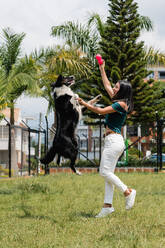 Seitenansicht einer positiven jungen hispanischen Besitzerin mit langen dunklen Haaren in lässiger Kleidung, die lächelt, während sie einen aktiven, verspielten Border Collie Hund auf einer Wiese im Park trainiert - ADSF43935