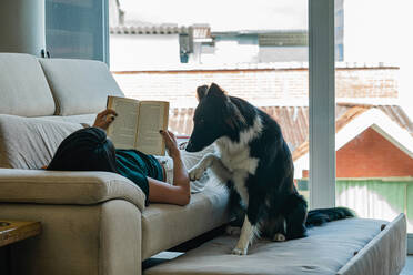Niedlicher neugieriger Border Collie Hund, der den Arm der jungen Besitzerin berührt, die auf einem bequemen Sofa liegt und ein interessantes Buch während des Wochenendes zu Hause liest - ADSF43942