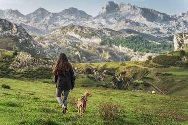 Back view of unrecognizable female traveler with basenji dog standing on grassy hill in highlands against majestic mountain ridge - ADSF43957