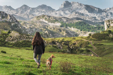 Rückenansicht eines nicht erkennbaren weiblichen Reisenden mit einem Basenji-Hund, der auf einem grasbewachsenen Hügel im Hochland vor einem majestätischen Bergkamm steht - ADSF43957