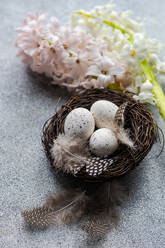 Draufsicht auf Nest mit Eiern und Hyazinthenblüten auf Betonhintergrund als Osterkartenkonzept - ADSF43990