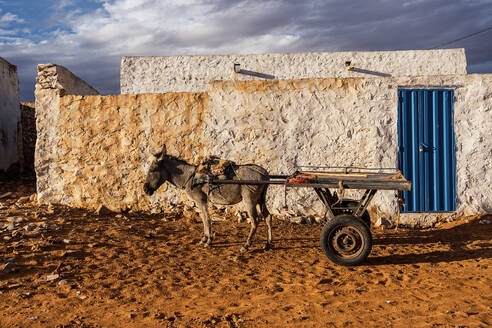 Esel mit Karren steht auf sandigem Boden in der Nähe eines schäbigen alten Gebäudes mit blauer Tür in Mauretanien - ADSF44004