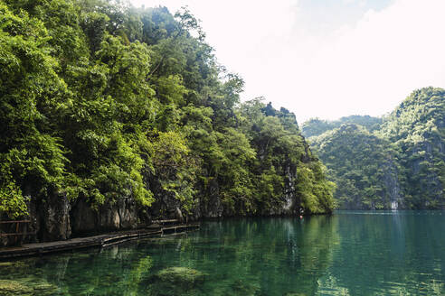 Sea with lush trees at Coron Island in Philippines - PNAF05269