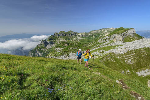 Italien, Provinz Belluno, Wandererpaar auf dem Höhenweg Dolomiti Bellunesi - ANSF00333
