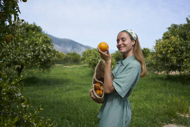 Smiling young woman holding orange standing in orchard - ANNF00146