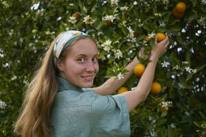 Frau mit braunem Haar pflückt Orangen vom Baum im Obstgarten - ANNF00152