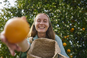Glückliche Frau hält eine Orange vor einem Baum im Obstgarten - ANNF00158