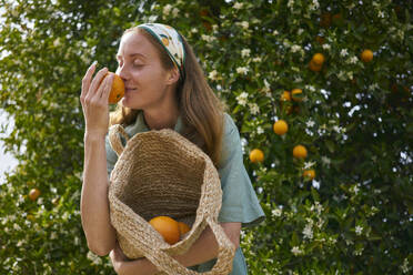 Woman smelling orange holding basket in orchard - ANNF00160