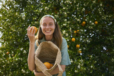 Happy woman holding basket of organic oranges in orchard - ANNF00161