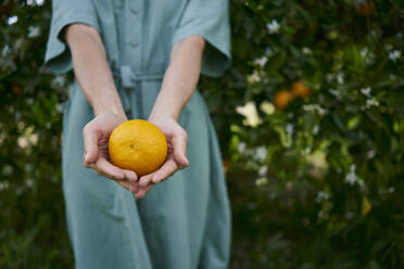 Woman holding fresh orange in cupped hands - ANNF00165