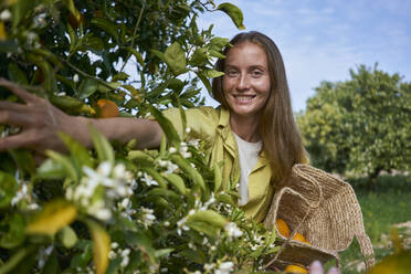 Smiling young woman by orange tree in orchard - ANNF00191