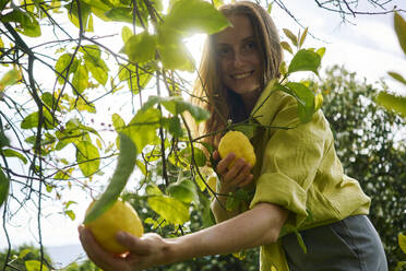 Smiling woman near lemon tree at orchard - ANNF00205