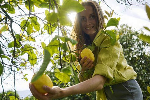 Lächelnde Frau in der Nähe eines Zitronenbaums im Obstgarten - ANNF00205