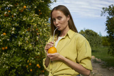 Woman drinking orange juice through reusable metal straw in orchard - ANNF00232