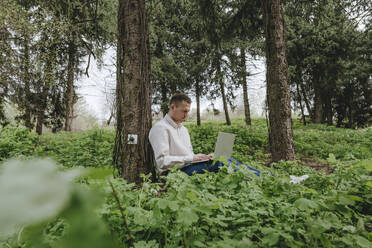 Businessman using laptop connected with outlet on tree in forest - YTF00776