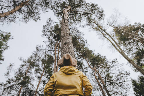 Woman looking at tall trees in forest - YTF00782