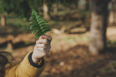 Girl holding fern in forest - YTF00791