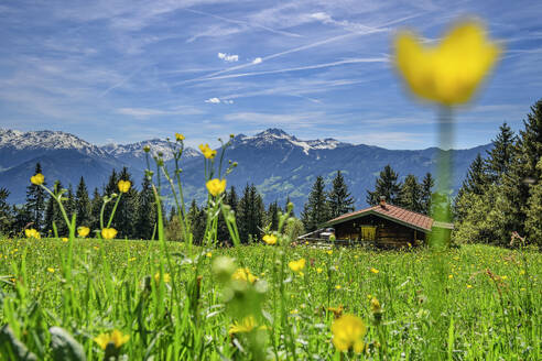 Austria, Tyrol, Summer meadow at Wiedersberger Horn with hut in background - ANSF00345