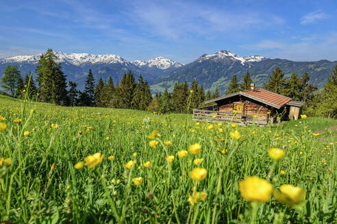 Österreich, Tirol, Sommerwiese am Wiedersberger Horn mit Hütte im Hintergrund - ANSF00346