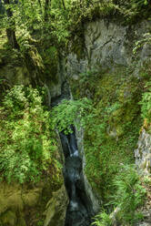 Österreich, Tirol, Wasserfall in steiler, enger Schlucht - ANSF00355