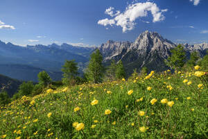 Italien, Venetien, Blick vom Monte Rite auf Antelao mit Wiese im Vordergrund - ANSF00375