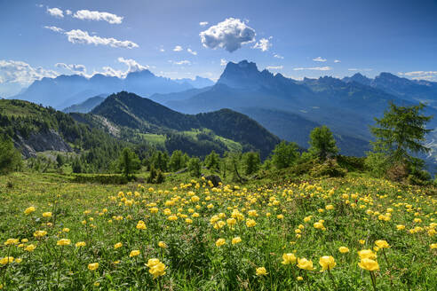 Italien, Venetien, Blick vom Monte Rite zum Monte Pelmo mit Wiese im Vordergrund - ANSF00376