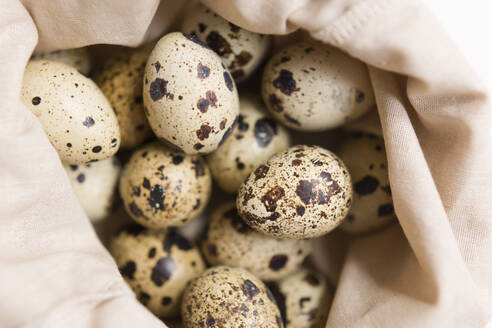 Fresh quail eggs in reusable bag - ONAF00533